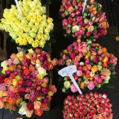 Настя Иванова, 22.08.1990