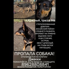 Татьяна Терновая, 20.10.1988, Калининград