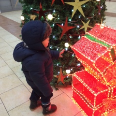 Чингис Мамырханов, Экибастуз