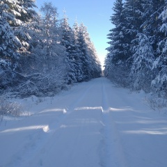 Альбина Казанцева, 15.02.1984, Санкт-Петербург