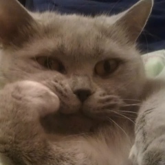 Натали ***, 29.09, Москва