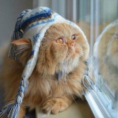 Михаил Братишка, 27.08