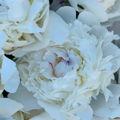 Жанета Григорян, 01.03, Челябинск