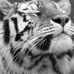 Виктор Долгов, 23.01, Челябинск