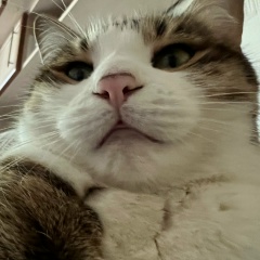 Василий Алибабаевич, 14.01.1992, Кишинев