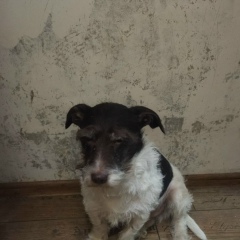 Мариночка Орешина, 09.07, Москва