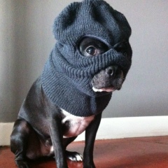 Женя Женя, 04.09.1988