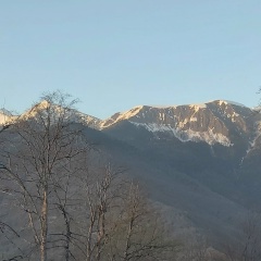 Sara Saroyan, 21.12, Москва