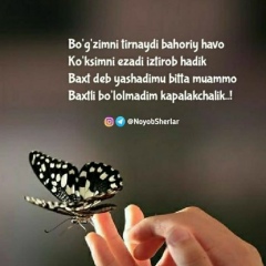 Нилу Ризаева, 28.02.1982, Шымкент