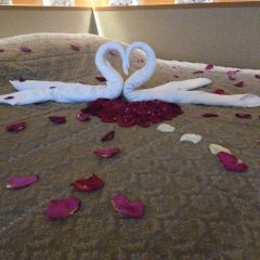 Алексей Пачганов, 27.12.1983, Сургут