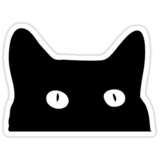 Роман Телевизор, 06.12