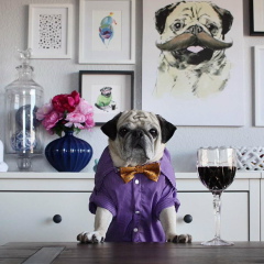 Павел Бурдёнков, Москва