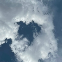 Динара Беккали, 20.12, Алматы