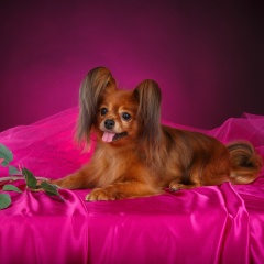 Вероника Сосна, 05.06.2001, Рыбинск