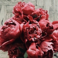 Валя Петрова, 08.04