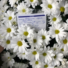 Дамир Хабибуллин, 04.10.1987, Тобольск