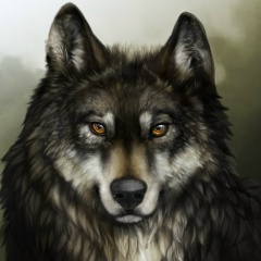 Марсель Даутов, Уфа