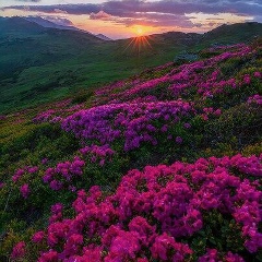 Bota Yessenzhanova, 05.09.1994, Атырау