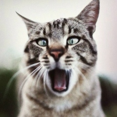 Сергей Павлов, 14.09, Санкт-Петербург