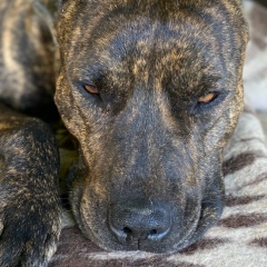 Иван Саганский, 26.08, Екатеринбург