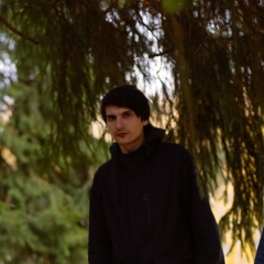 Илья Родичев, Санкт-Петербург