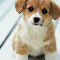 Asilbek Alibaev, 04.05, Актау