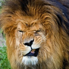 Денис Мухамбетов, 23.07, Самара