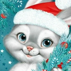 Neon Nechey, Ярославль