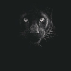 Марат Шукирбеков, 06.09, Туркестан