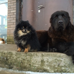 Ольга Раха, Санкт-Петербург