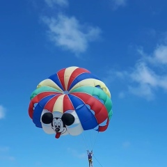 Анюта Fenixbird, 15.01, Victoria