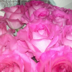 Молдир Мейримова, 19.11.1991