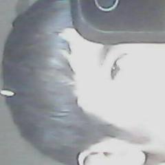 Жамол Тимиров, Москва