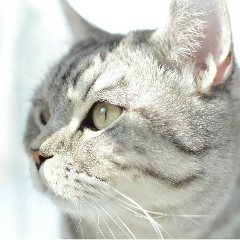 Макс Туманов, 03.11, Уфа