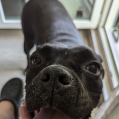 Алексей Молочников, 28.02.1985, Санкт-Петербург