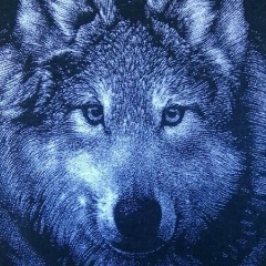 Антон Гукало, 25.03.1986, Королёв