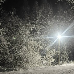 Ольга Кудряшова, Санкт-Петербург