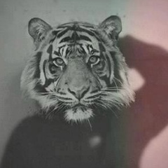 Павел Мирян, 13.03, Хабаровск