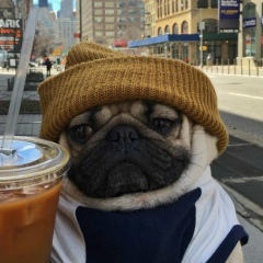 Олександр Гнатюк, 28.08.1989