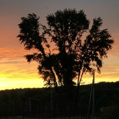 Светлана Платонова, 07.06.1989, Казань