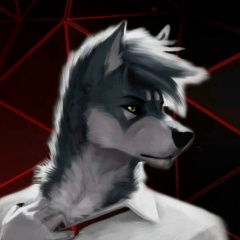 Роман Ширяев, 08.04, Великий Устюг