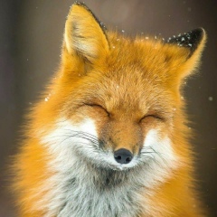 Таня Сладкова, 03.04.1997, Санкт-Петербург