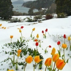 Тоди Рахимбекова, 18.04.1994