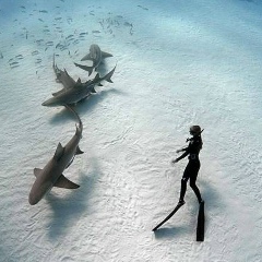 Наум Константиновский, 05.11.1984