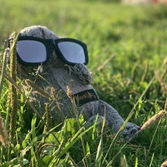 Стёха Ахрименкова, 30.12, Москва