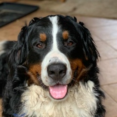 Александр Урюпин, 29.09