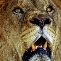 Олег Сычёв, 29.03