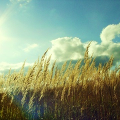 Шуцца Да, Москва