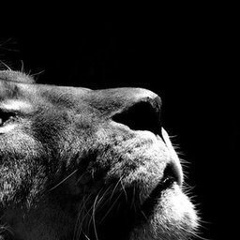 Алексей Валерьевич, 17.04, Ростов-на-Дону