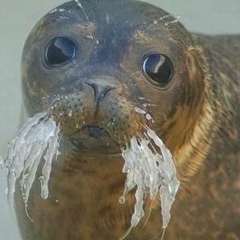 Дмитрий Боровков, 07.02, Москва